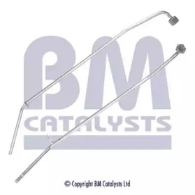 BM CATALYSTS pp11110b -